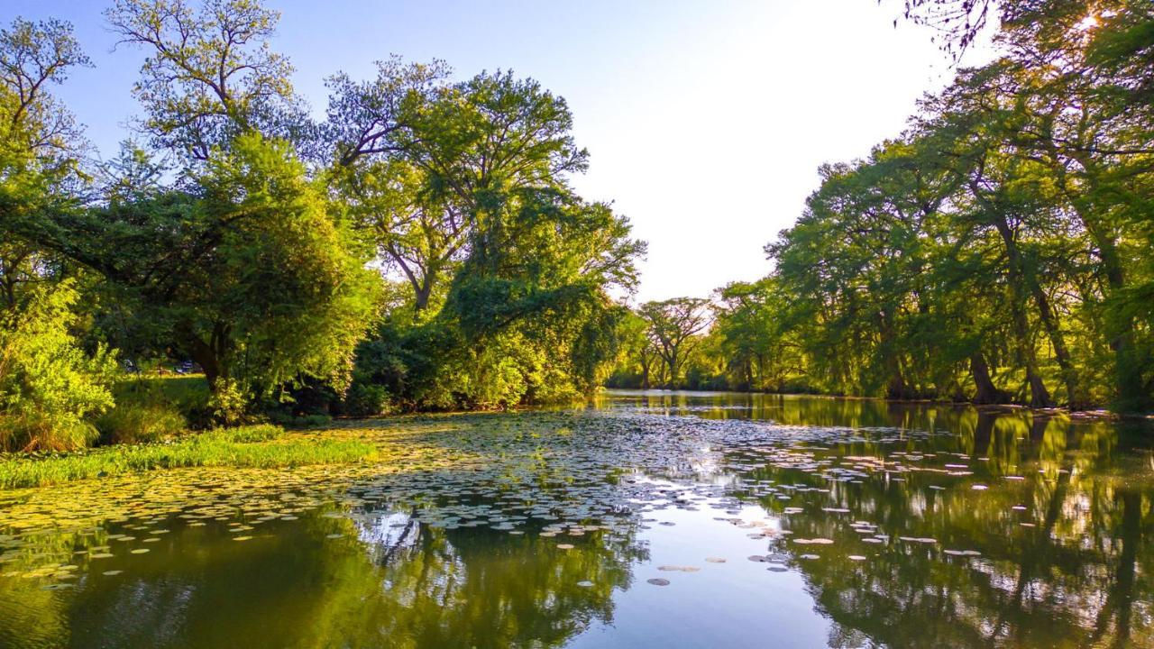 Medina River Historic Cottage Castroville ภายนอก รูปภาพ